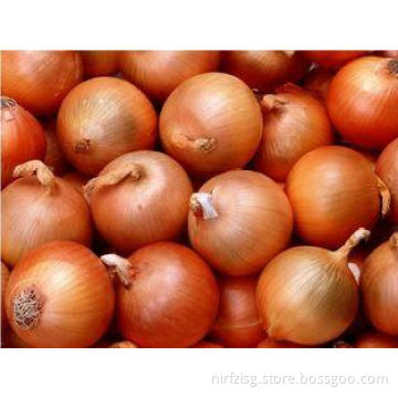 Chinese Natural Fresh Onion 30mm - 50mm With ISO , HACCP ,